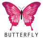 BBBButterfly