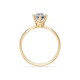 14K Yellow Gold Diamond Ring “Solitaire XXIV”