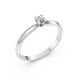 14K White Gold Diamond Ring “Crown VI”