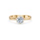14K Yellow Gold Diamond Ring “New Classic XV”