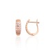Gold Cubic Zirconia Earrings “Golden Path”
