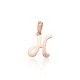 Gold Cubic Zirconia Letter Pendant “H IV”