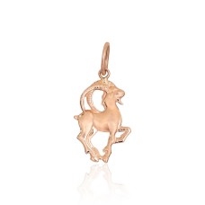 Auksinis zodiako ženklo pakabukas „Ožiaragis V“