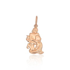 Auksinis zodiako ženklo pakabukas „Vandenis III“