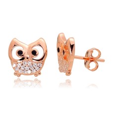 Vaikiški sidabriniai auskarai-vinukai su cirkoniais „Owl“