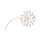 Sterling Silver Brooch “Dandelion”