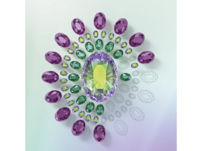 Swarovski Fall/Winter 2021/22 Innovations «EMBRACING THE NEXT»